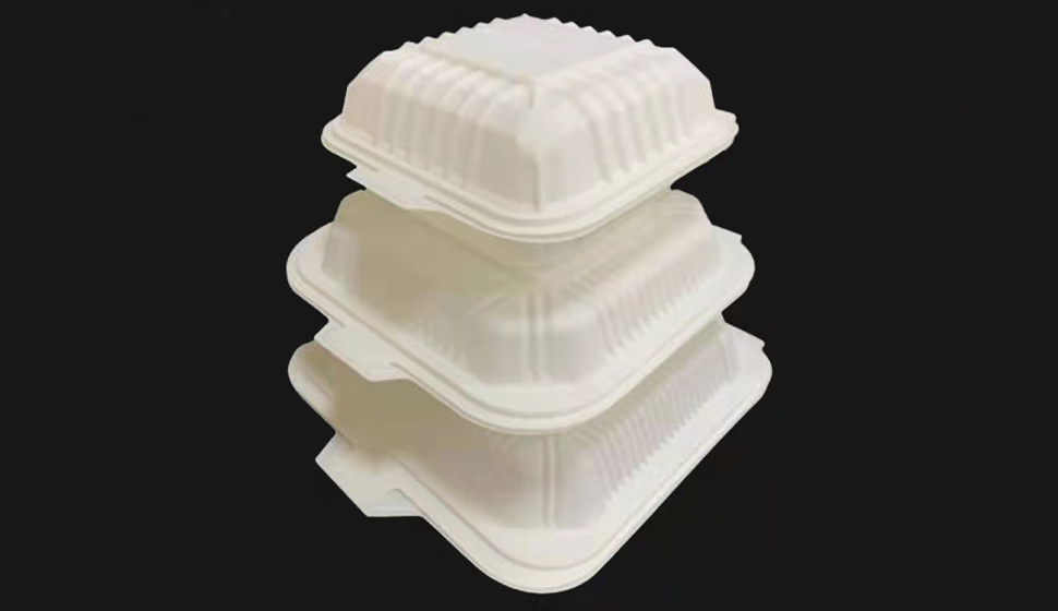  Plastic sushi box 10